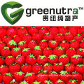 Natural Water Soluble Freeze Dried Strawberry Powder